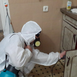 Дезинфекция от муравьев в квартире в Нижегородском районе Москвы