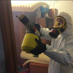 Уничтожение клопов в квартире. Нижегородский район 